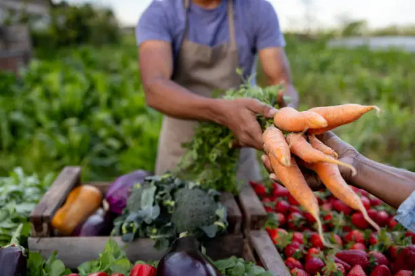 Picture of Farm Food