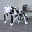 Picture of Aaed Musa CARA Robot Project 47907
