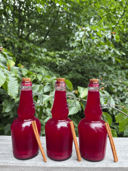 Picture of 3 Pack Hibiscus Beets (Local Delivery ONLY) by Healinghands farm.